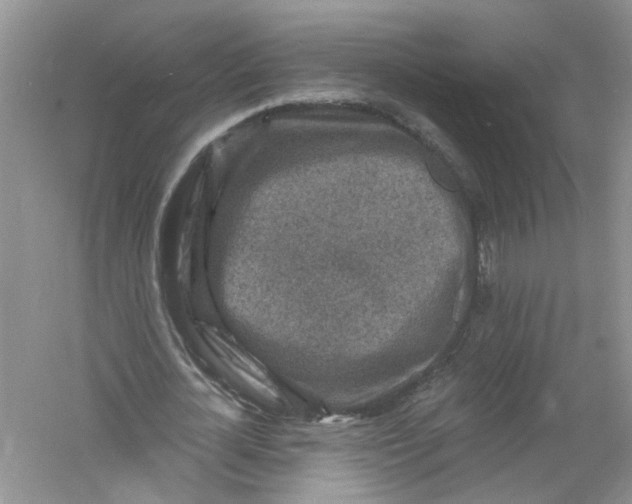 X0000061150724200512022313