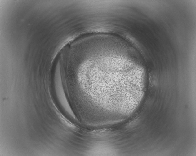 X0000061150725200512022313