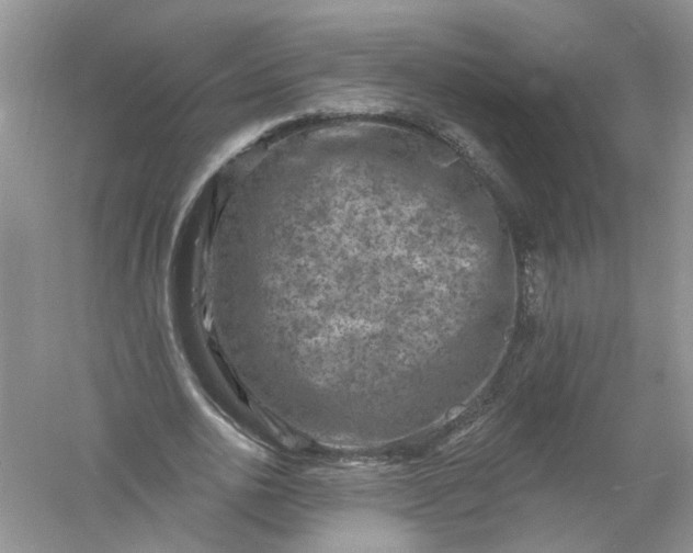 X0000061150726200512022313