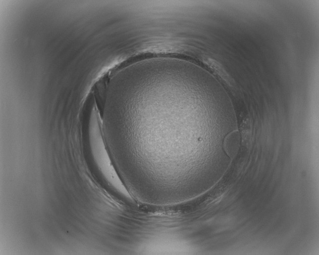 X0000061150727200512022313