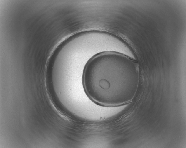 X0000061150728200512022313