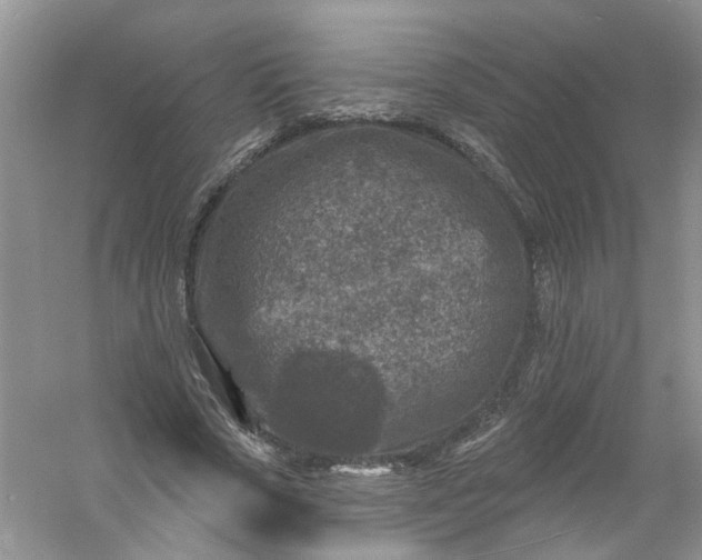 X0000061150729200512022313