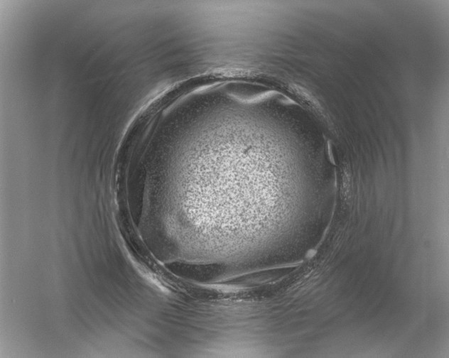 X0000061150730200512022313