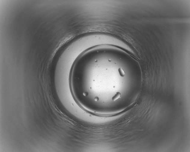 X0000061150731200512022313