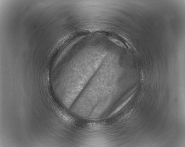 X0000061150733200512022314