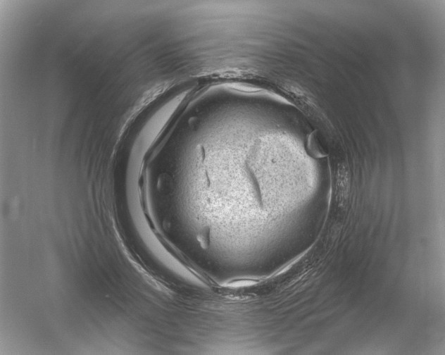 X0000061150734200512022314