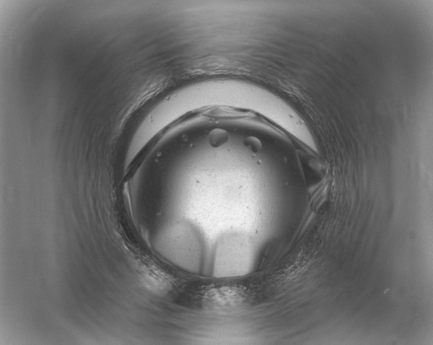 X0000061150735200512022314