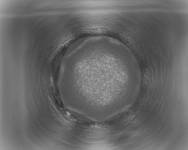 X0000061150739200512022314