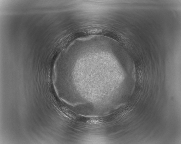 X0000061150745200512022314