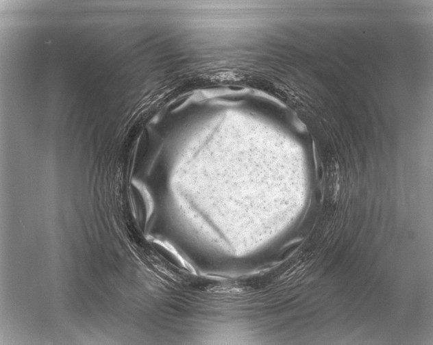 X0000061150747200512022314