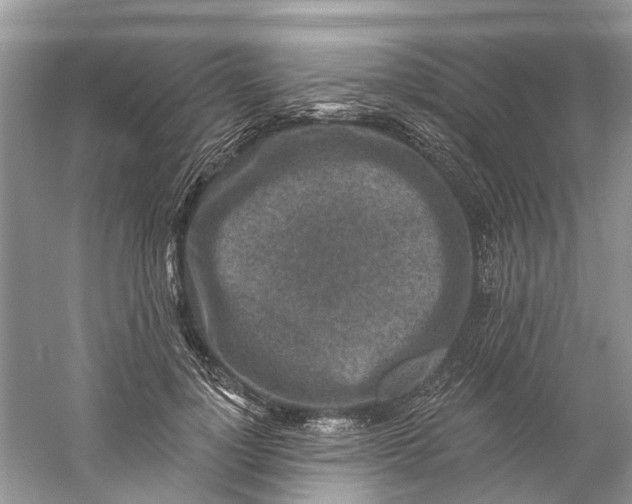 X0000061150748200512022314