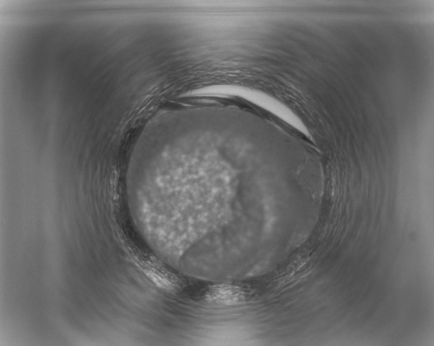 X0000061150750200512022314