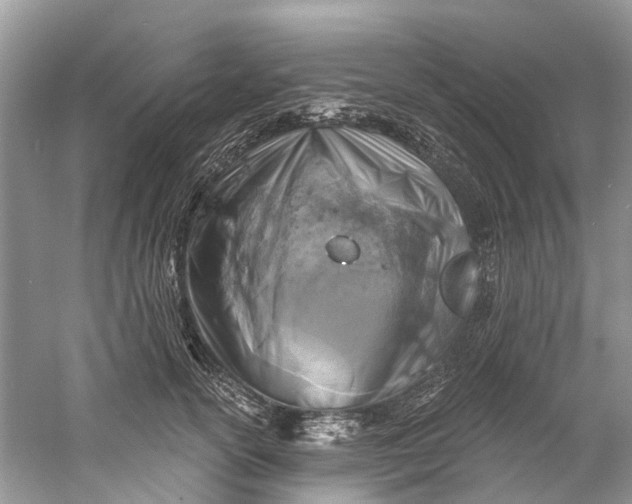 X0000061150754200512022314