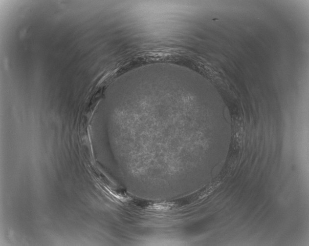 X0000061150758200512022314