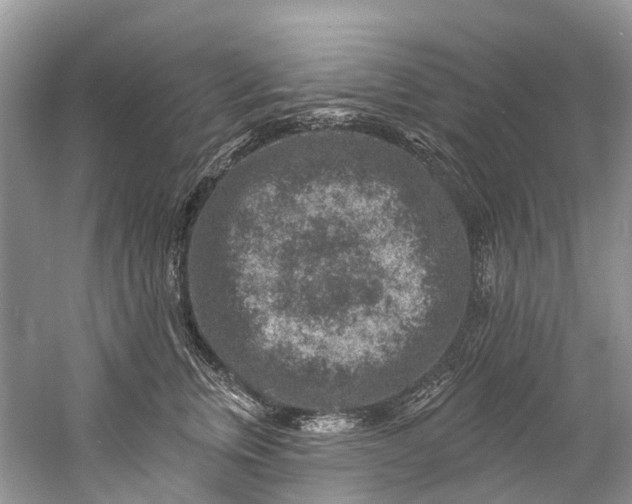 X0000061150759200512022314