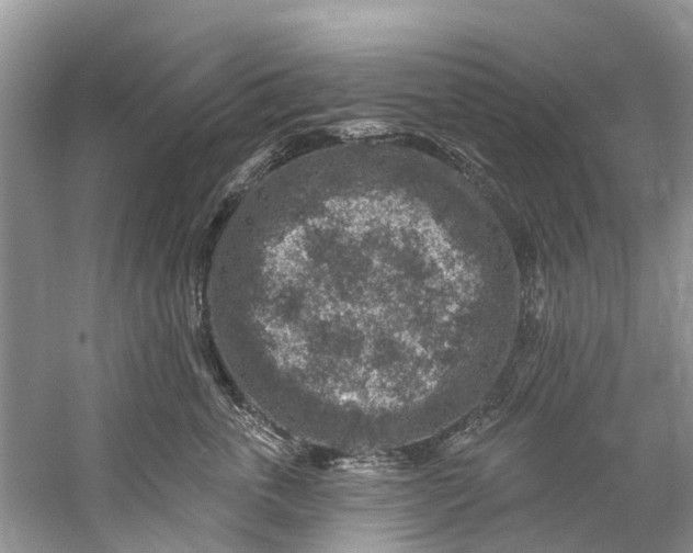 X0000061150763200512022314