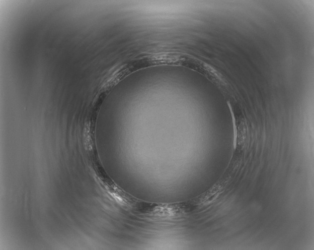 X0000061150764200512022314