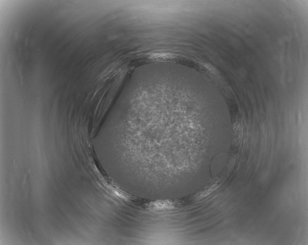 X0000061150765200512022314