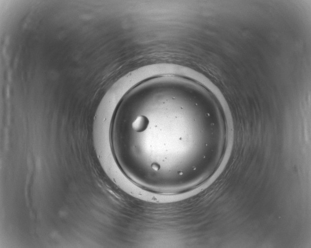 X0000061150766200512022314