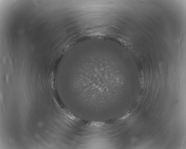 X0000061150767200512022314