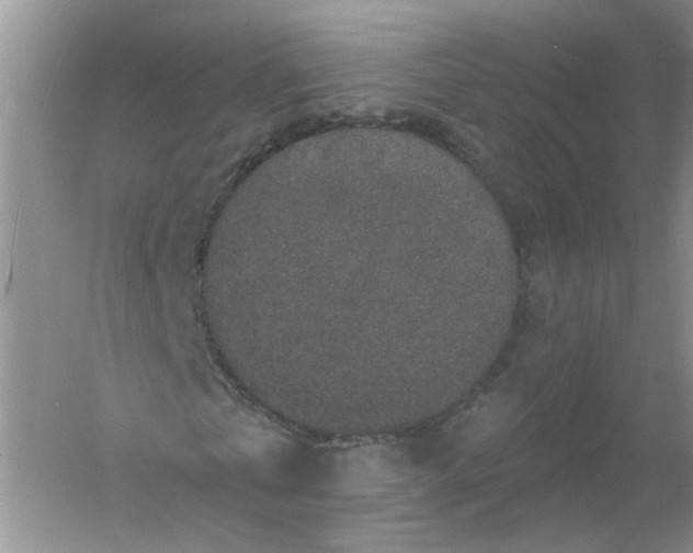 X0000061150769200512022313