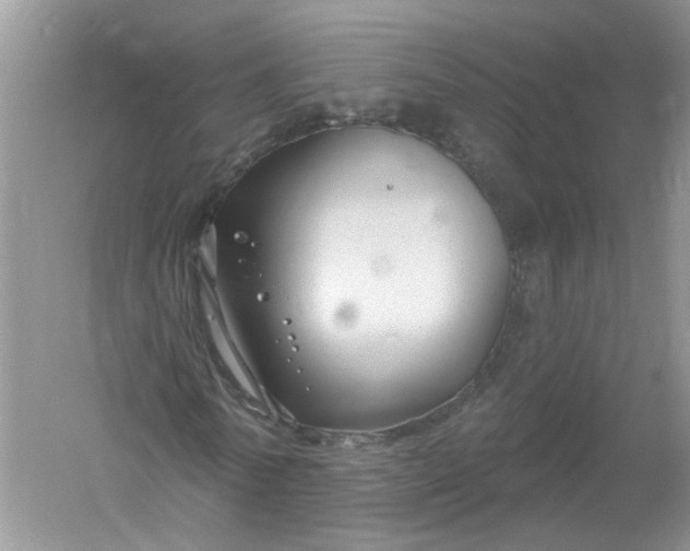 X0000061150770200512022313