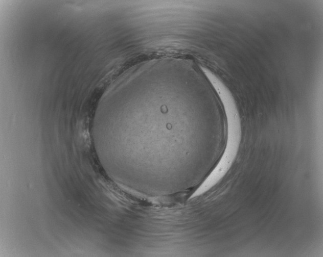 X0000061150771200512022313