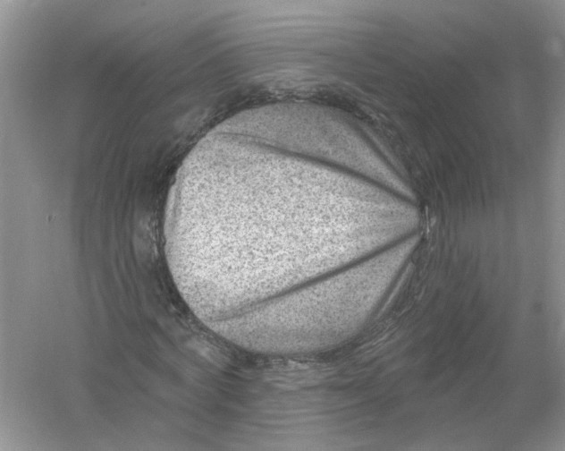 X0000061150772200512022313