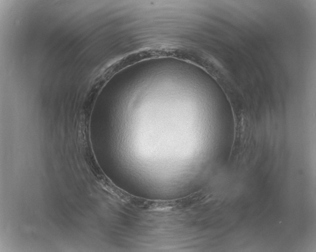 X0000061150773200512022313