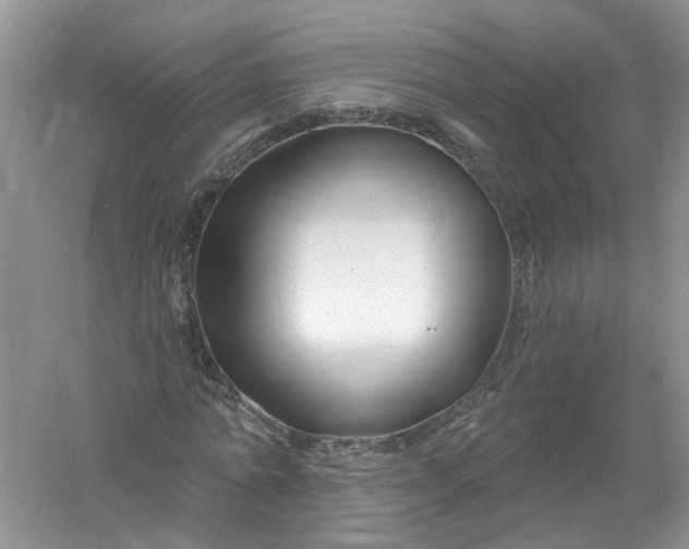 X0000061150774200512022313