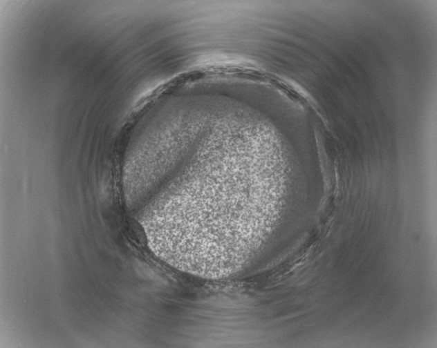 X0000061150775200512022313