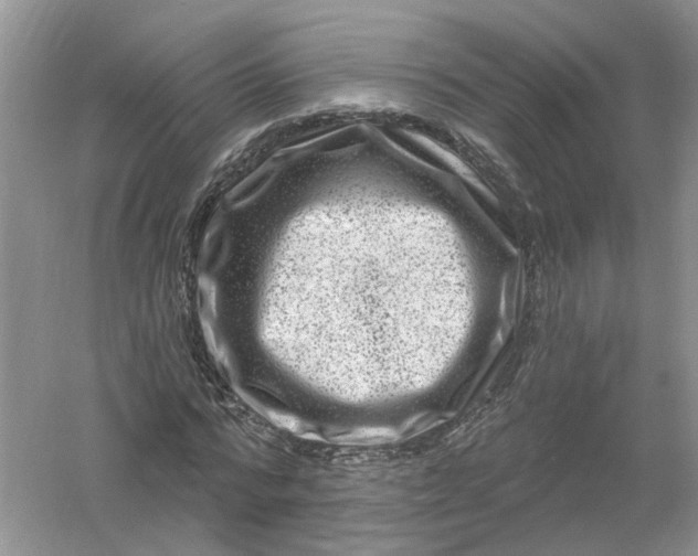 X0000061150776200512022313