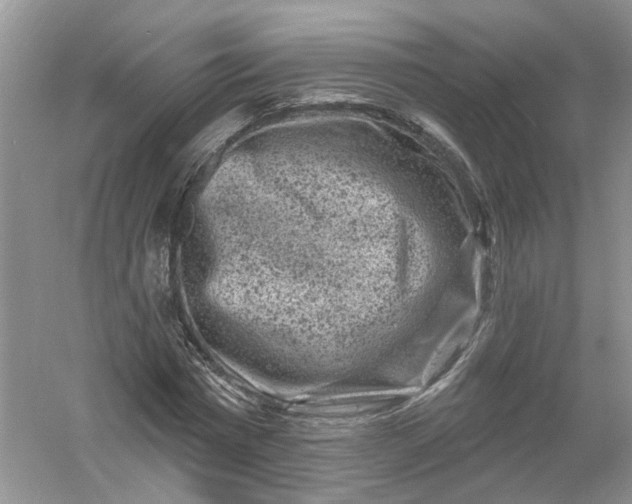 X0000061150777200512022313