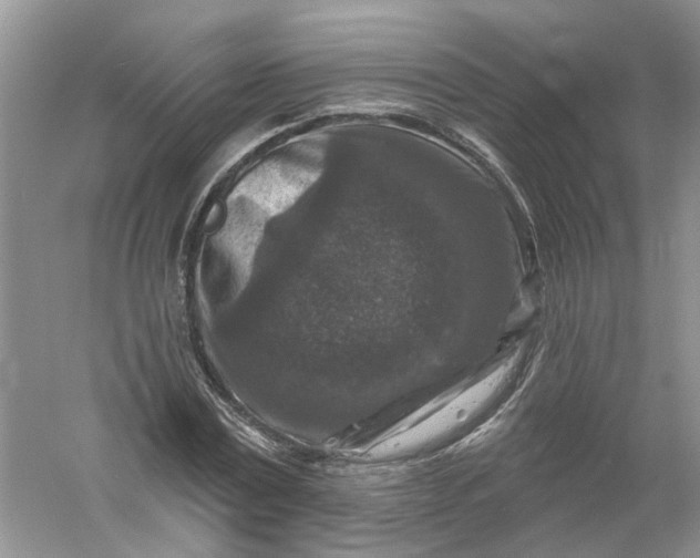 X0000061150779200512022313