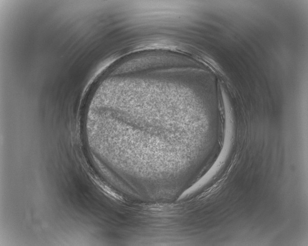 X0000061150780200512022313