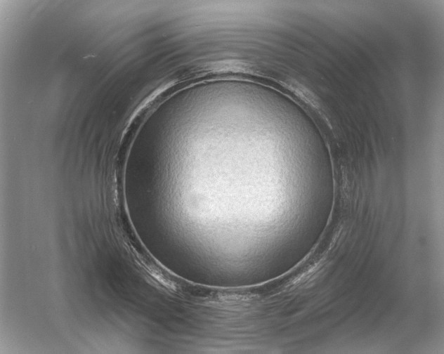 X0000061150782200512022313