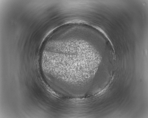 X0000061150783200512022313