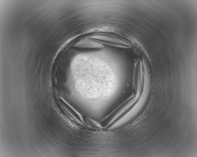 X0000061150784200512022313