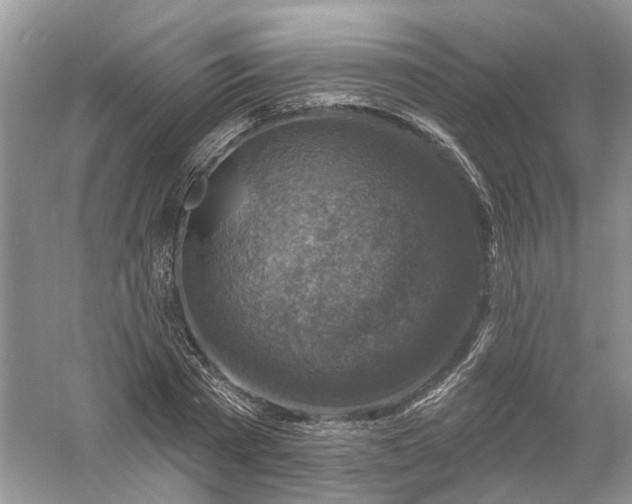 X0000061150785200512022313