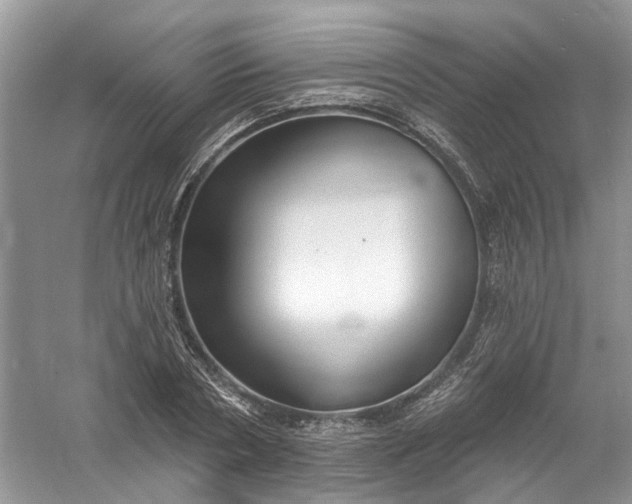 X0000061150786200512022313