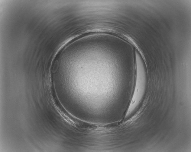 X0000061150787200512022313