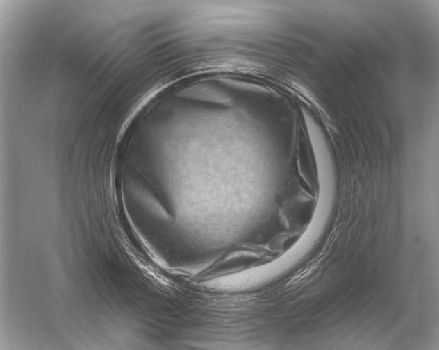 X0000061150788200512022313