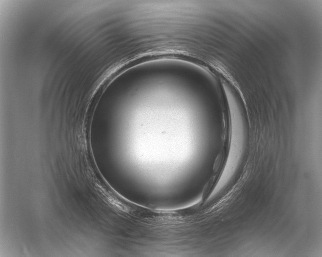 X0000061150789200512022313