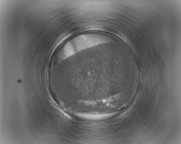 X0000061150790200512022313