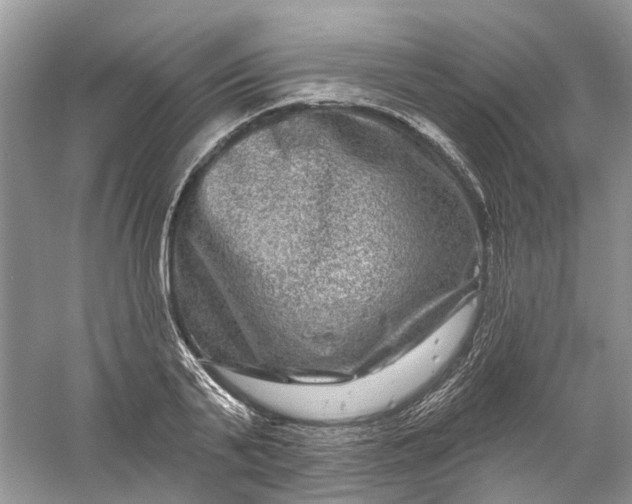 X0000061150791200512022313