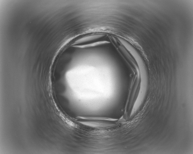 X0000061150792200512022313