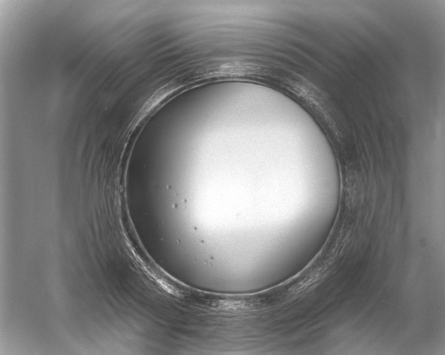 X0000061150794200512022313