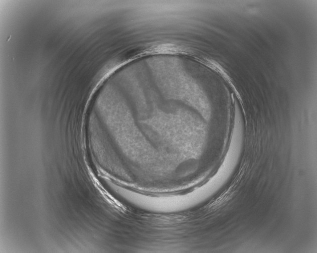 X0000061150795200512022313