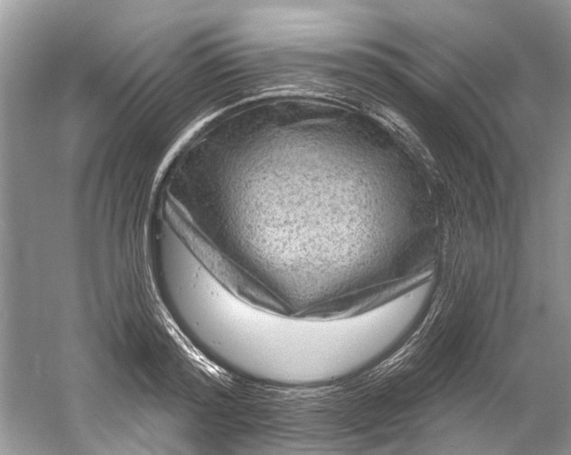 X0000061150796200512022313