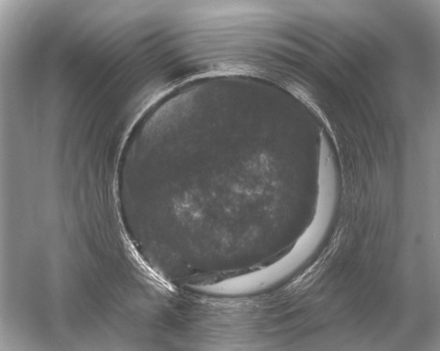 X0000061150797200512022313